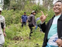 Misi PT. KHBL Dalam Menambah Populasi Tanaman Pinus