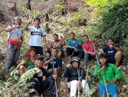 KHBL Sumbangkan Bibit Pinus Merkusi di Perkemahan Desa Salubalo