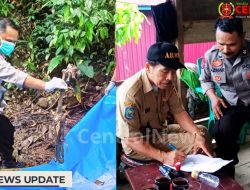 Kerangka Manusia Ditemukan di Sungai Bombongan Polman, Diduga Terkait Warga Hilang