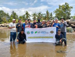 Komunitas Sandeq Polman Cegah Abrasi Dengan Mangrove