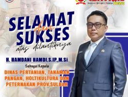 Kadis Pertanian Sulbar Tekankan Pembangunan Pertanian